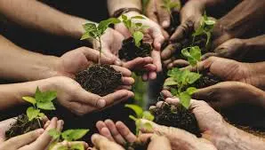 Marco Ginanneschi Agricoltura Sociale